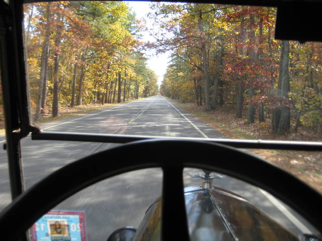 pinebarrens1