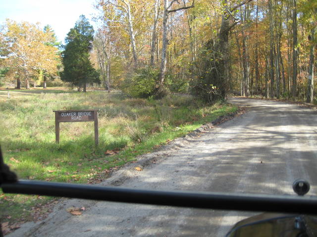 pinebarrens3