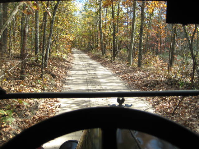 pinebarrens4