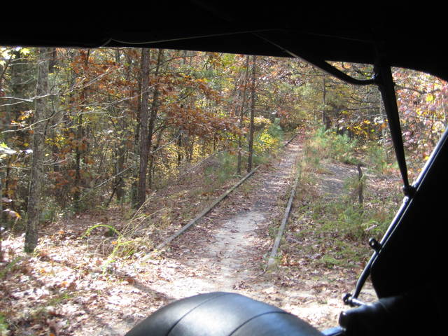 pinebarrens5