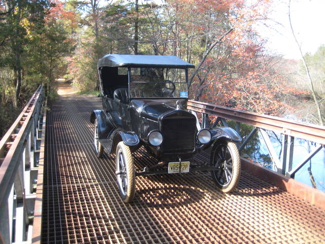 pinebarrens6
