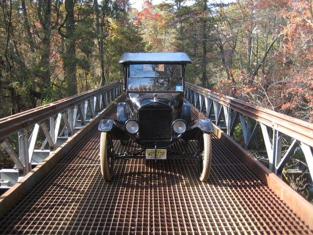 pinebarrens7