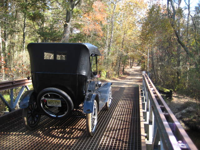 pinebarrens8