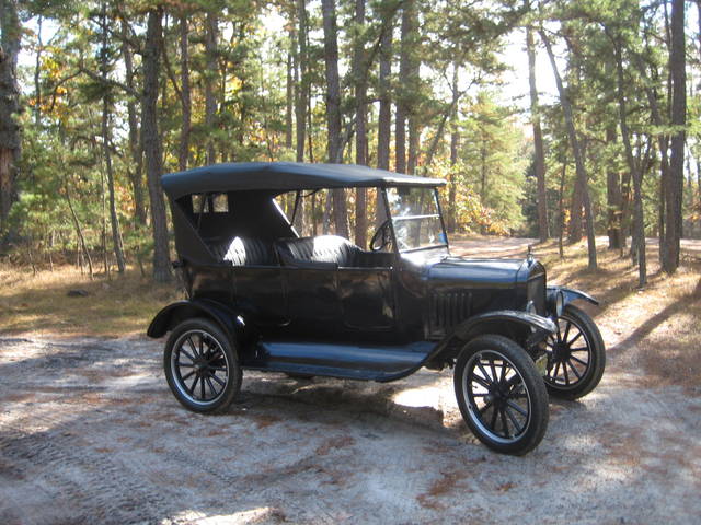 pinebarrens9