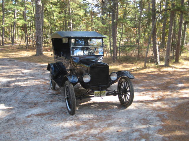 pinebarrens11