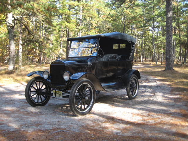 pinebarrens12