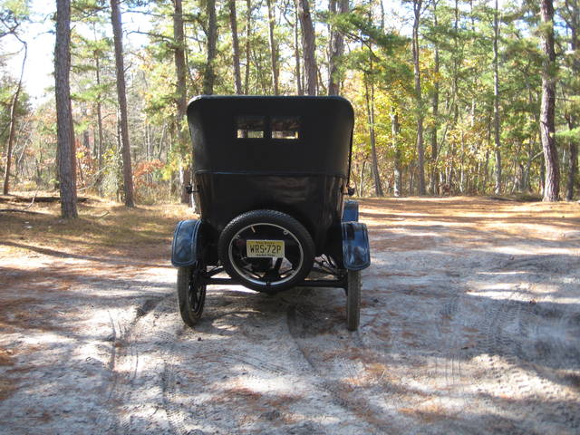 pinebarrens13