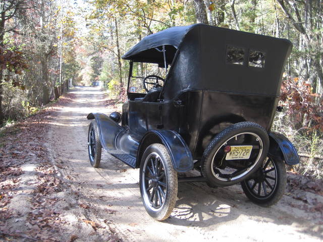 pinebarrens16