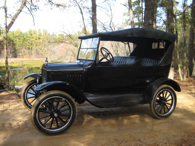 pinebarrens19