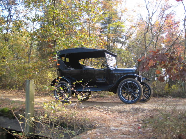 pinebarrens21