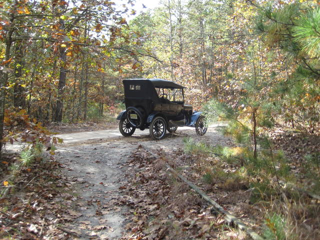 pinebarrens22