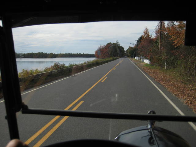 pinebarrens29